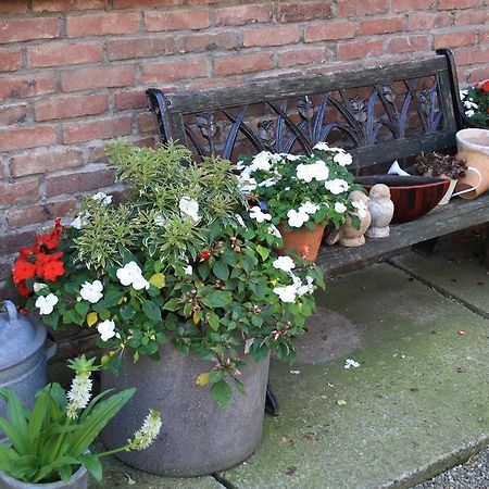 Biedermeier Born Eksteriør bilde